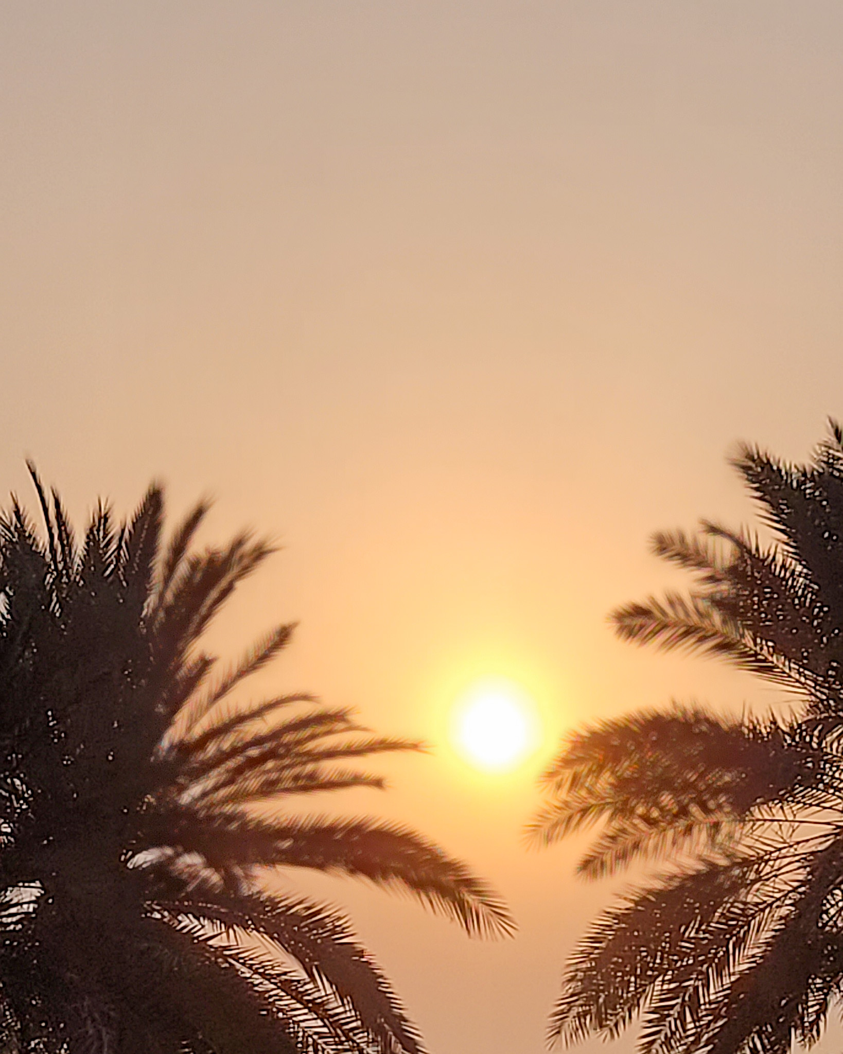 Atardecer en Emiratos Árabes Unidos