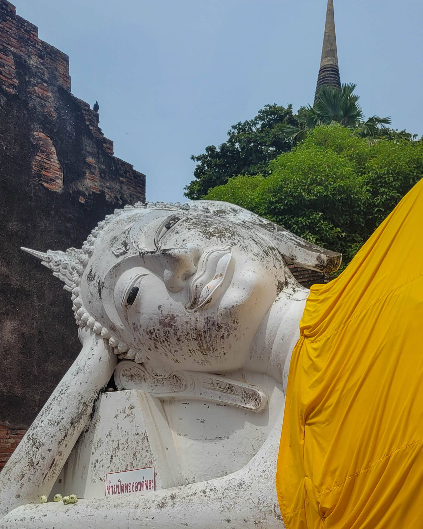 Ruinas e imágenes de Ayutthaya