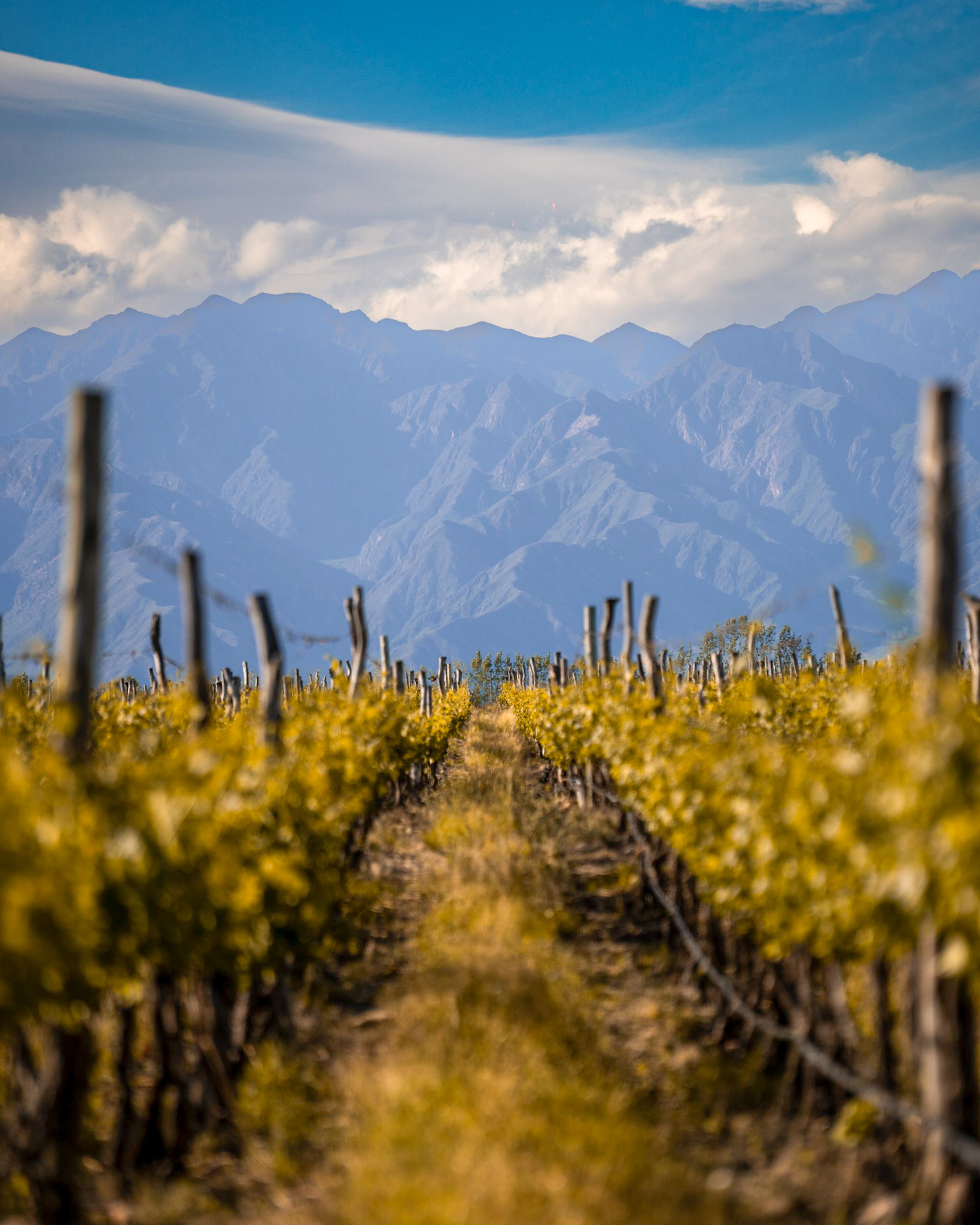 Paisaje de viñedos y pueblos con encanto en La Rioja