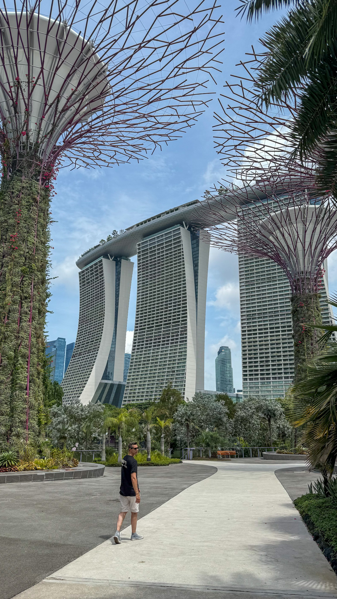 Paseo entre los supertrees de Gardens by the Bay en Singapur
