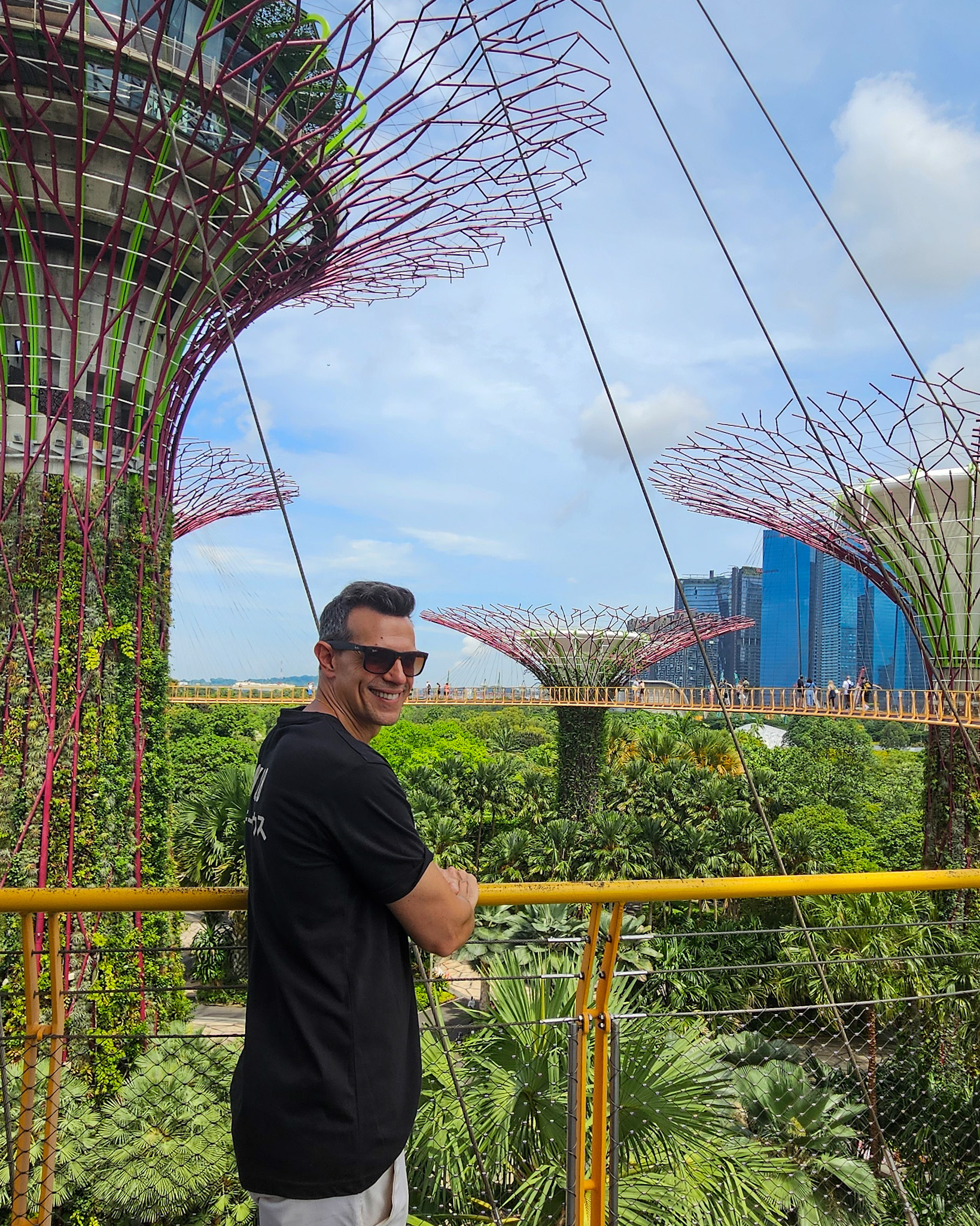 Superárboles Singapur guía de viaje