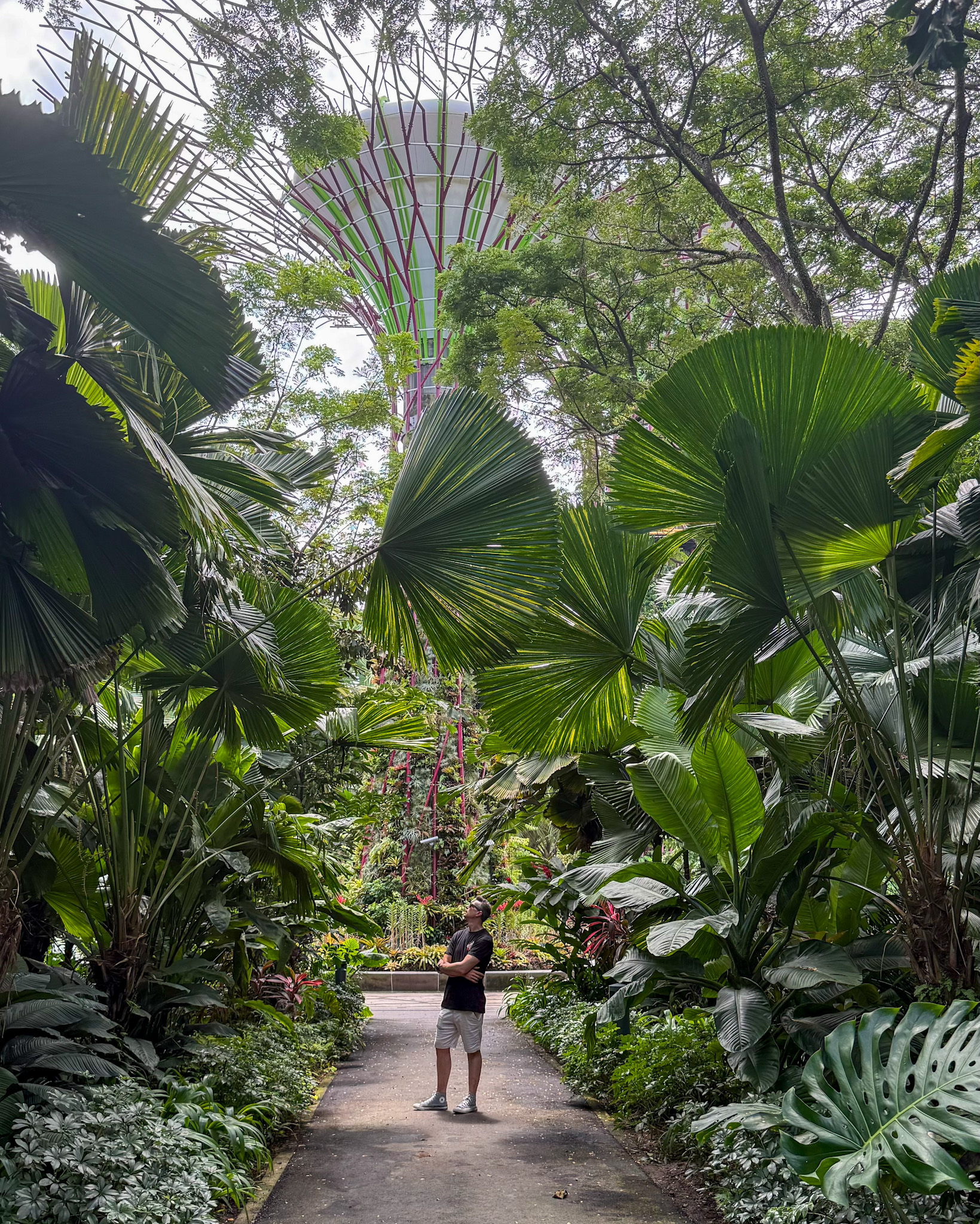 Zonas verdes en Singapur