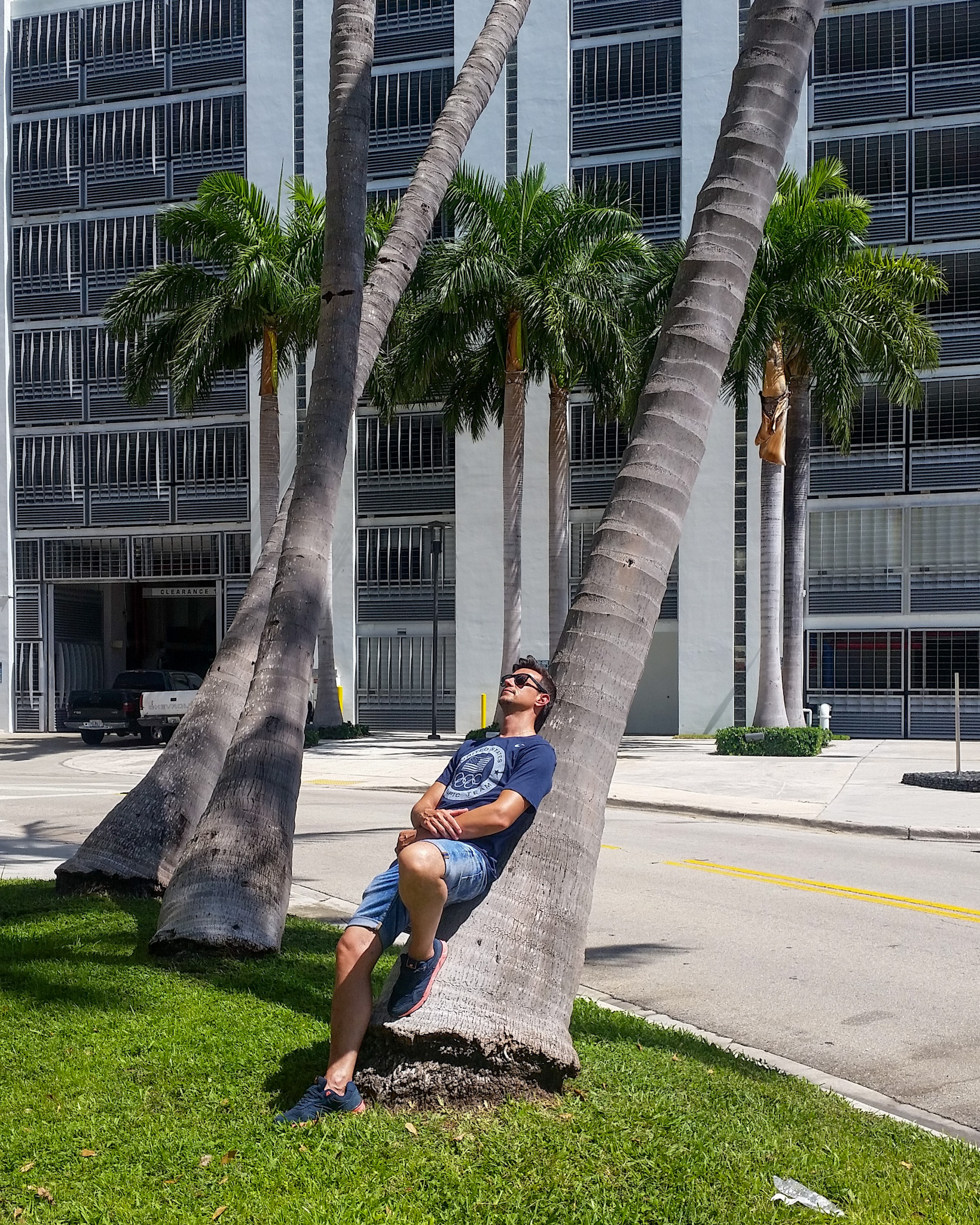 Palmeras de Florida