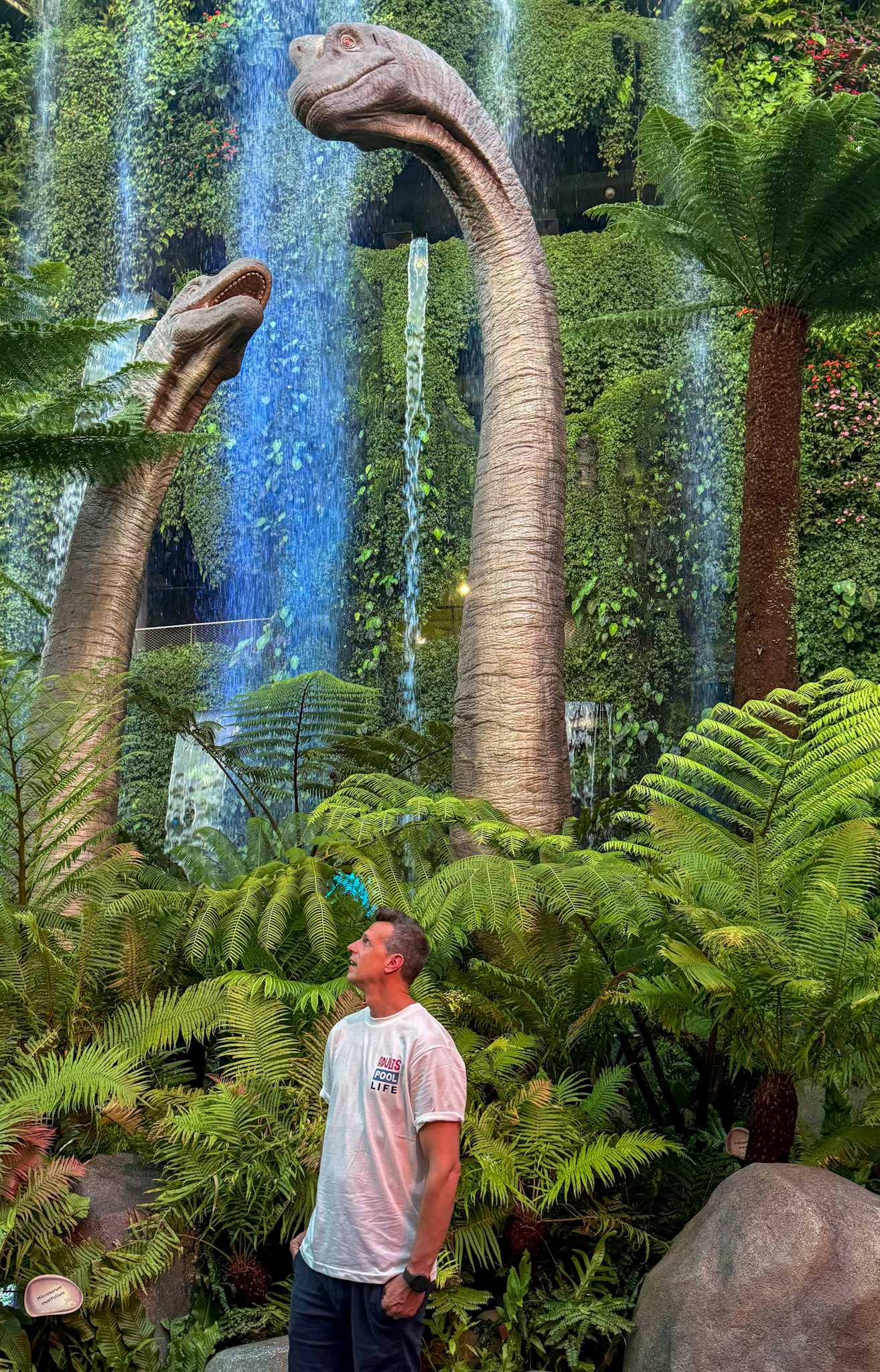 Cloud Forest ambientado en Parque Jurásico Singapur
