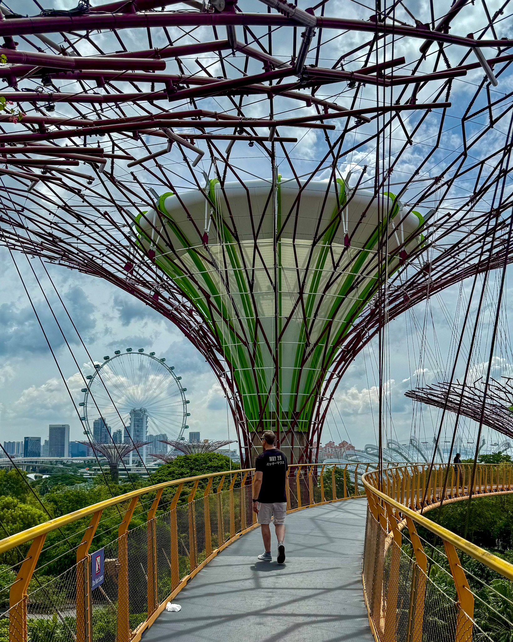 Vistas de Singapur desde el Supertree