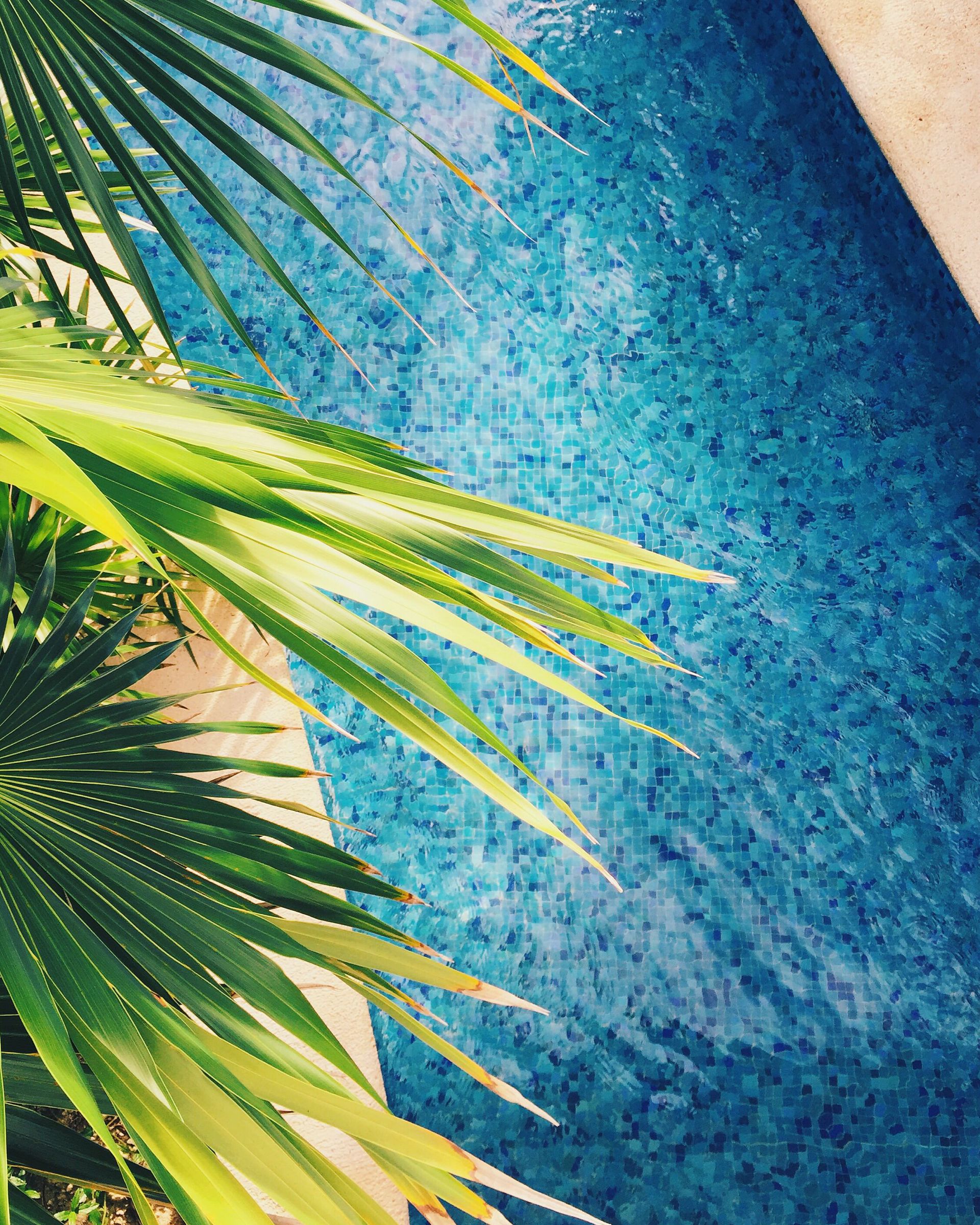 Relax y slow travel en Los Cabos